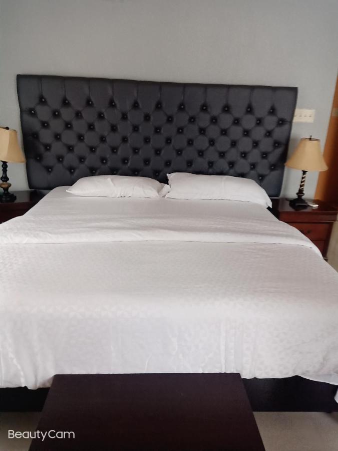 Deluxe Presidential Apartment Kingston