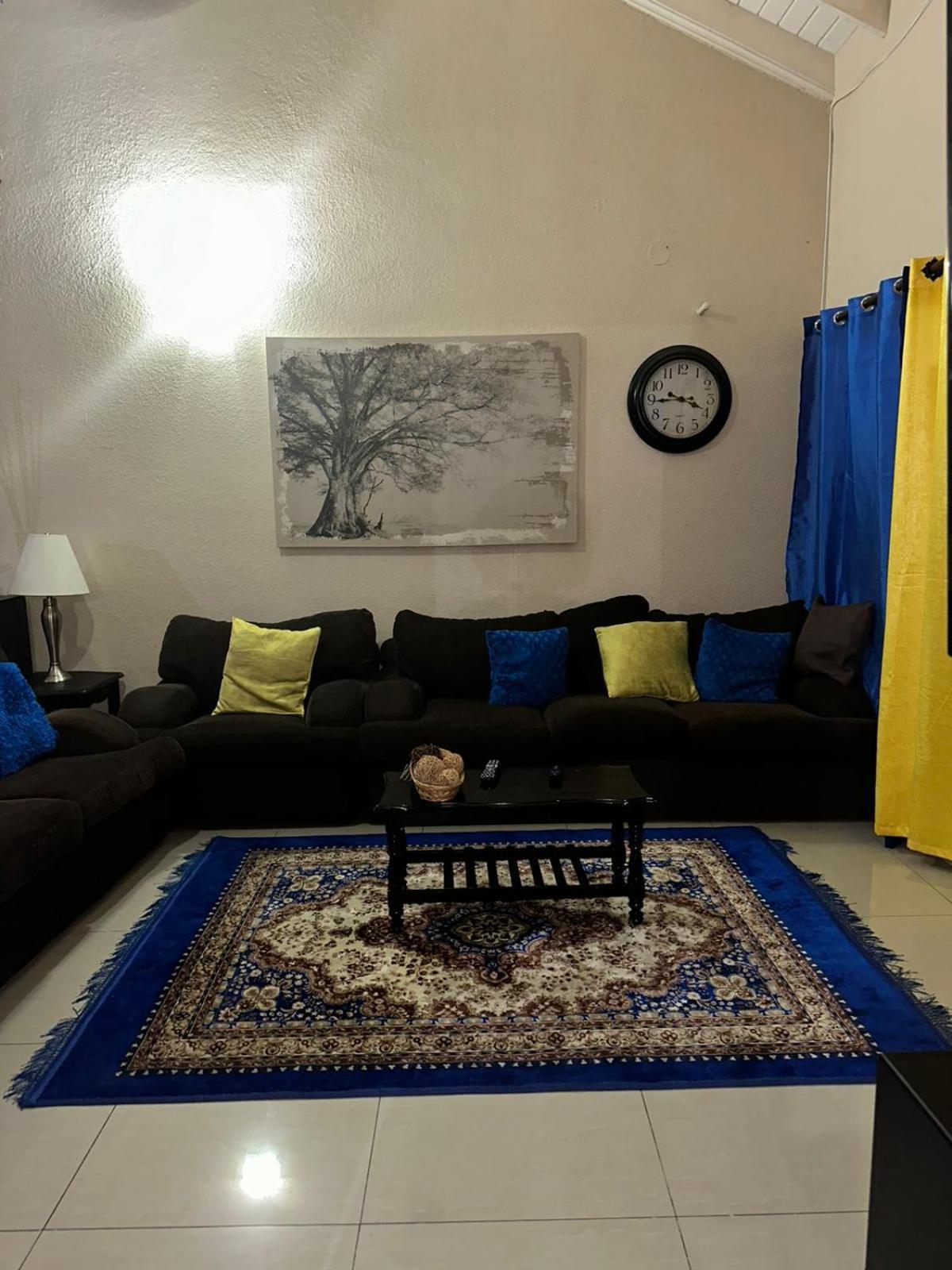Deluxe Presidential Apartment